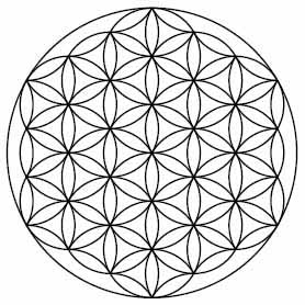 flower of life
